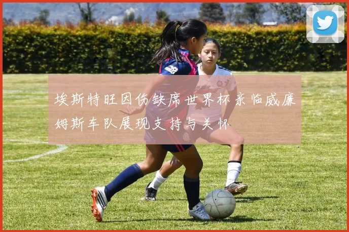 埃斯特旺因伤缺席世界杯亲临威廉姆斯车队展现支持与关怀