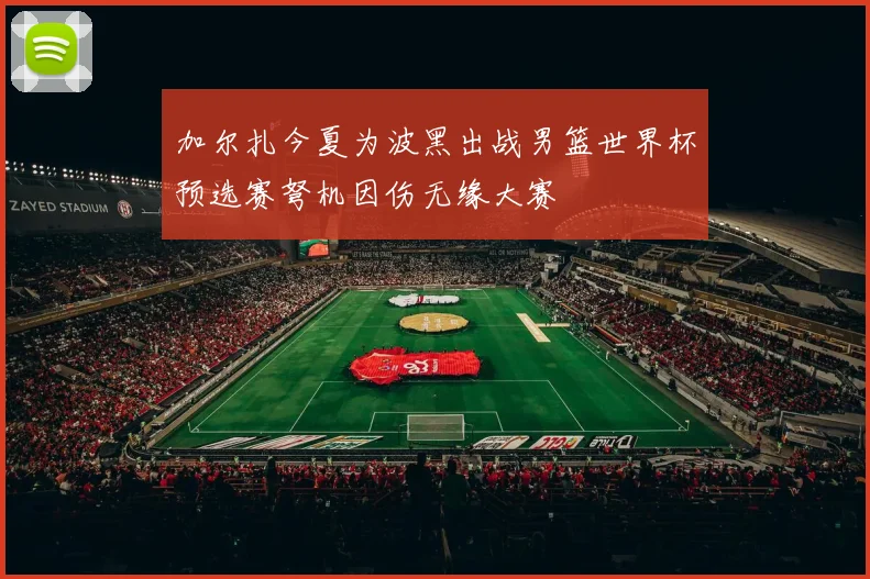 加尔扎今夏为波黑出战男篮世界杯预选赛弩机因伤无缘大赛